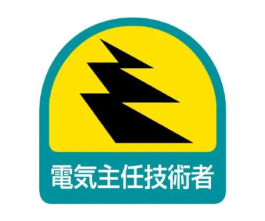 62-6110-11 Helmet Sticker Chief Electric Engineer 1 Sheet (2 Sheets) 851-50