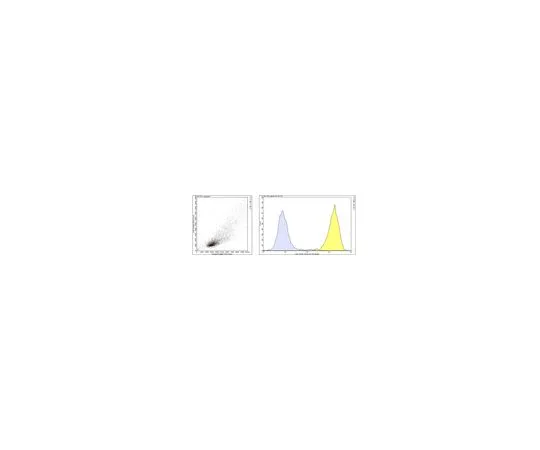 62-8513-15 Anti-Mo*** CD36 Antibody, Clone 63 MABF956