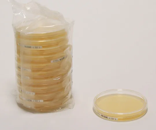 61-0203-85 Sabouraud Glucose (4%) Agar W.Lthth LI 30mL(120) 146052 120Pcs 1.46052.0120