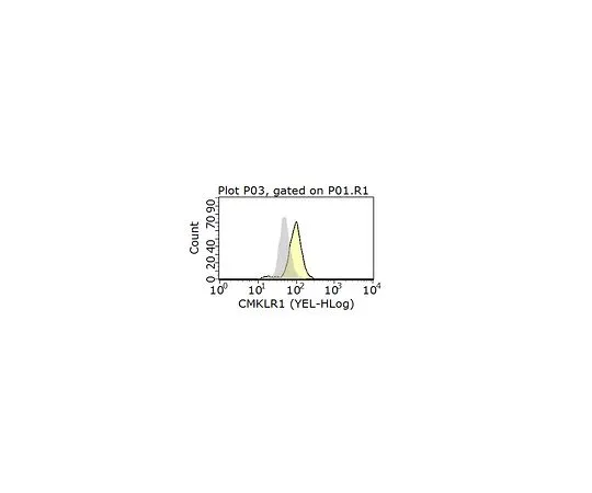 62-8513-28 Anti-CMKLR1 Antibody, clone BZ194 MABF1011