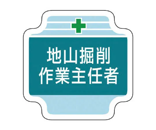 62-0029-16　［Discontinued］Slip Resistant Safety Shoes for Cold Areas 28.0 cm　36722