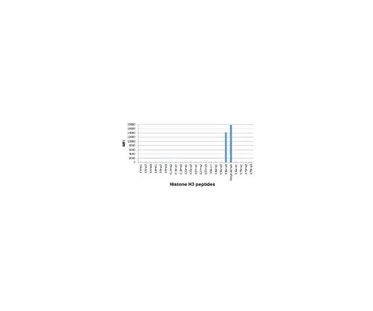 62-8507-09 Anti-trimethyl Histone H3 (Lys36) Antibody, clone RM15 MABE640