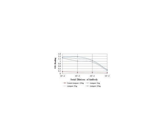 62-8506-97 Anti-PRKDC, clone 3H6 Antibody MABE629