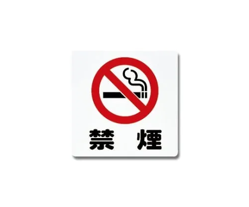 61-7420-68 No Smoking 300mm x 300mm x 1mm PH3030-10