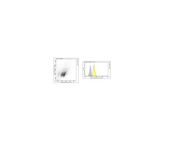 62-8516-28 Anti-LTBR Antibody, clone 3C8 MABF2049