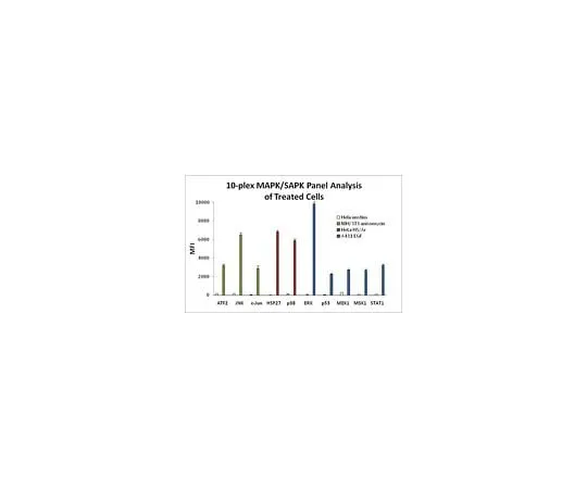 62-8538-73 MILLIPLEX MAP MAPK/SAPK Signaling 10-Plex Kit 48-660MAG