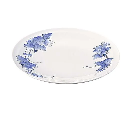 62-6653-20　［Discontinued］Plastic Container, High Plate, Grape Scale 1 (5 Pieces)