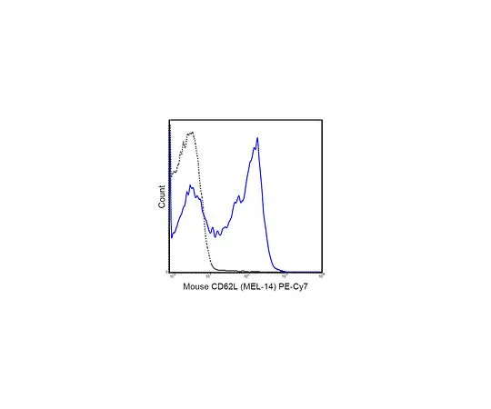 62-8512-23 Anti-CD62L (L-Selectin) (mo***), PE-Cy7, clone MEL-14 MABF717