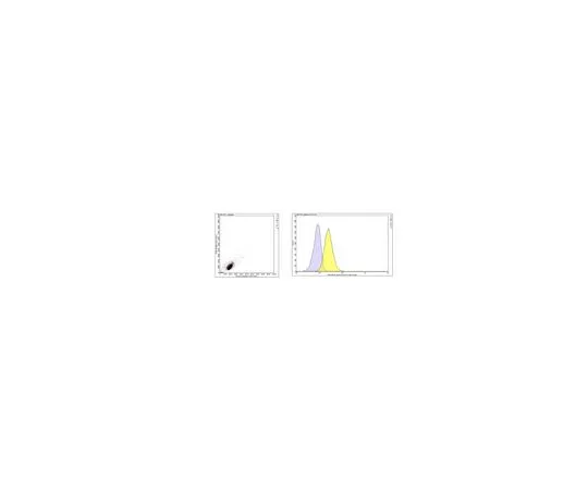 62-8527-16 Anti-TACE Antibody, clone D1(A12) MABT884
