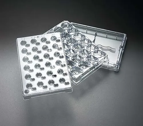 61-0194-09 Millicell-24 Cell Culture Plate, PCF 0.4μm 1/Pk 1PK PSHT010R1