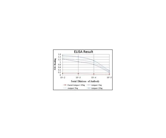 62-8512-67 Anti-CDK9, clone 1B5D10 Antibody MABF770