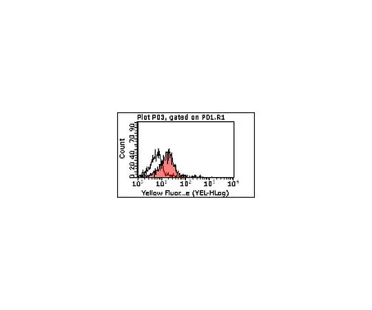 62-8508-81 Anti-PAR-3, clone 8E8; 100 μg MABF28