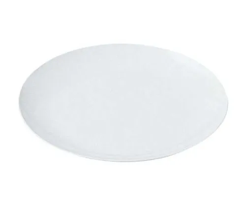 61-6839-97 Melamine School Dish Flat Plate Meta Type No. 29 10 inch White 2452800