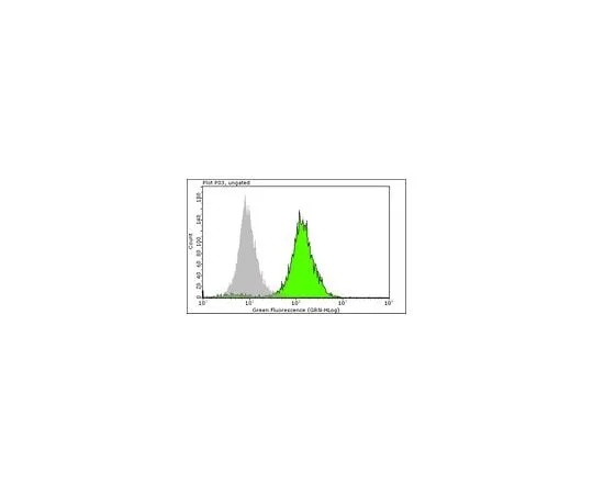 62-8496-71 Anti-Nuclei, clone 3E1.3; 100 μg MAB4383
