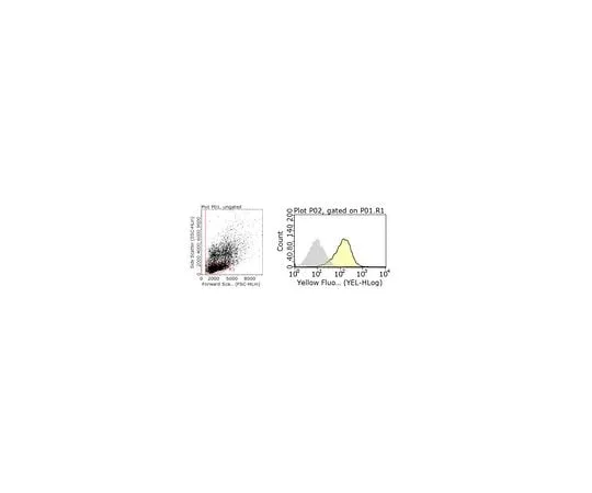 62-8521-22 Anti-HLA Class I Antigens Antibody, clone W6/32 MABN1783