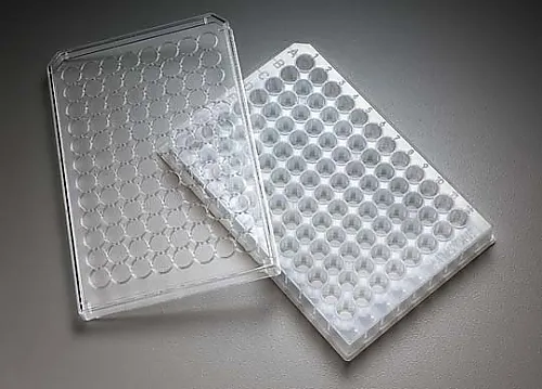 61-0206-31 Multiscreen Solvinert Philic PTFE 0.45μm Non-Sterile 10/Pk 10PK MSRLN0410