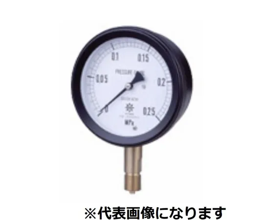 65-3634-73 MPP Plastic Sealed Pressure Gauge Core Section SUS A Type φ100 G3/8 0~0.06MPA S-AU38-1000.06MPA