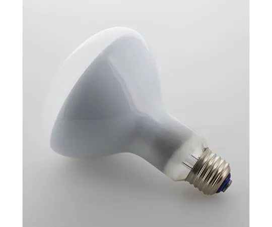 64-8873-63 Infrared Lamp (100 V/185 W)