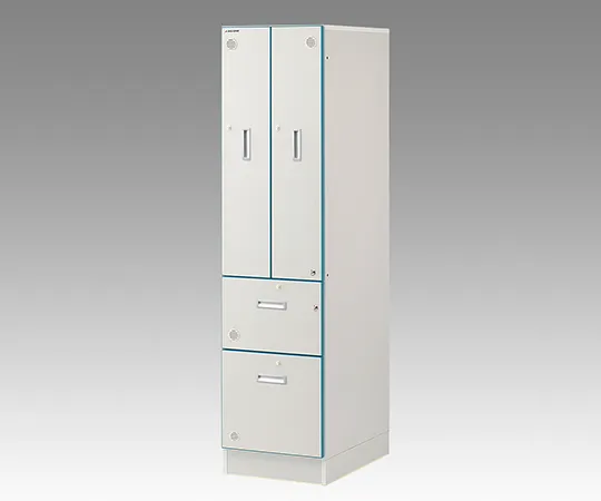 3-5316-01　［Discontinued］Wood Stocker (Wooden Chemical Closet)　W-4H