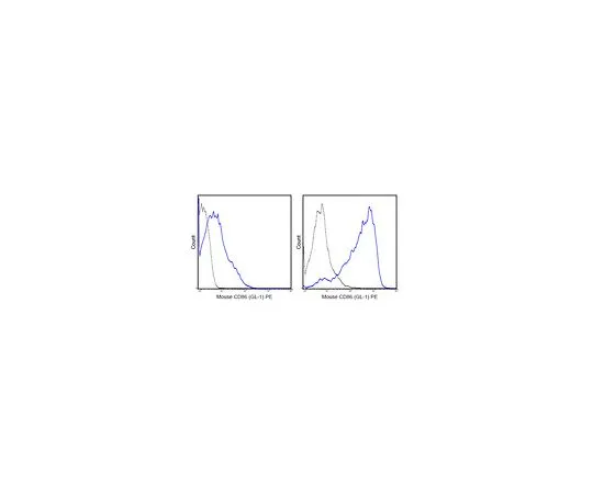 62-8512-29 Anti-CD86 (B7-2) (mo***), PE, clone GL-1 MABF726
