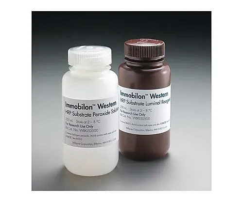 61-0205-40 Immobilon Western Chemiluminescent HRP Substrate, 2 x 250mL 1SET WBKLS0500