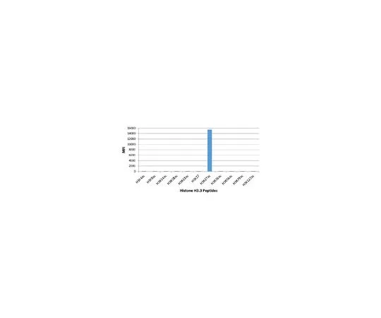 62-8507-16 Anti-acetyl-Histone H3 (Lys27) Antibody, clone RM172 MABE647
