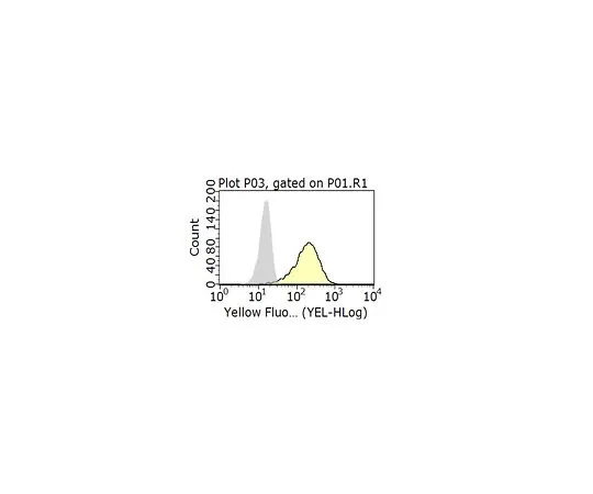 62-8513-25 Anti-CXCR4 Antibody, clone 12G5 MABF981
