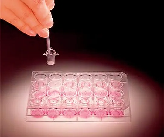 2-5201-01　［Discontinued］Small Film Chamber for Intercellular Reaction Study　ST