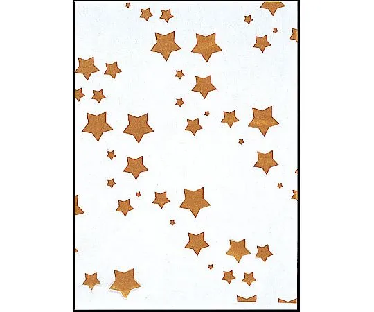 62-6656-07 SK Bag Star (100 Pieces) No.5