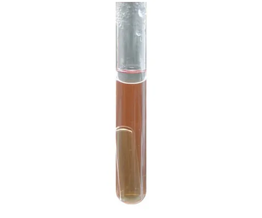 61-0197-76 Bryant Bar Key Broth (Resazurin, Lactic Acid Addition) for Microbiology 101617 500G 1.01617.0500