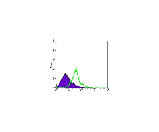 62-8504-69 Anti-WNT1, clone 10C8 MABD168
