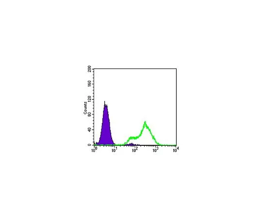 62-8519-21 Anti-Metadherin, clone 2F11C3 MABN699 MABN699