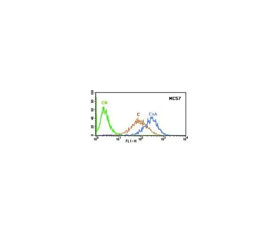 62-8496-20 Anti-MDR1, extracellular human specific Pgp, clone MC57; 100 μg MAB4163