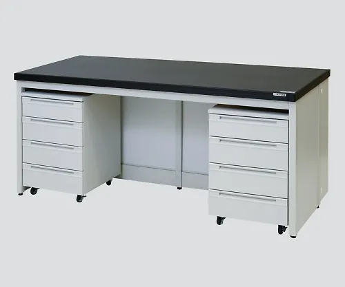 3-4464-01　［Discontinued］Side Laboratory Bench Frame Type, with Spot Sink 900 x 750 x 800　HSXA-907