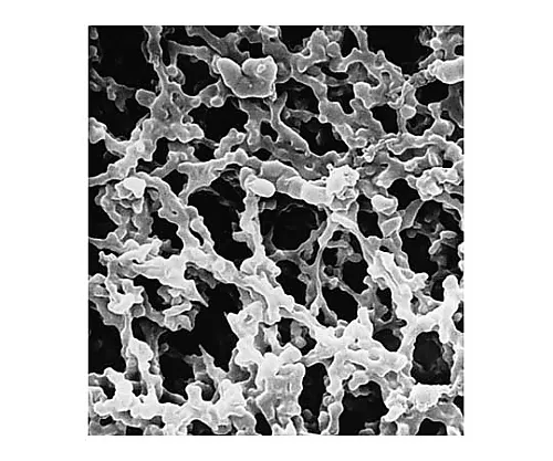 61-0198-72 Mf-Millipore Membrane, Mixed Cellulose Esters, Hydrophilic, 0.45μm, 47 Mm, White, Plain, 100/Pk 100PK HAWP04700F1