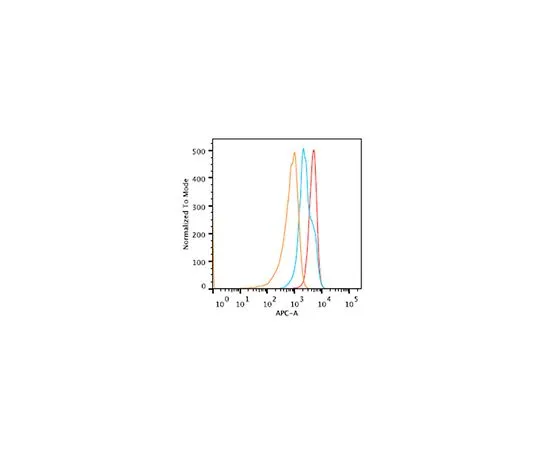 62-8517-47 Anti-DOCK8 Antibody, clone 10C3.2 MABN353