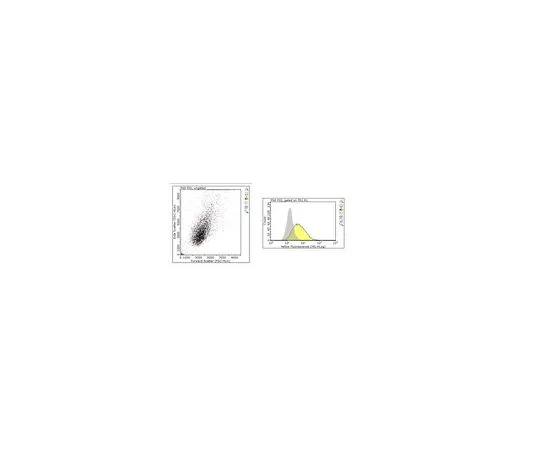 62-8527-15 Anti-CD315 Antibody, clone 17H1 MABT883
