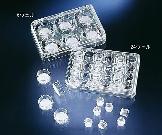 2-3866-01 Cell Culture Insert 140640
