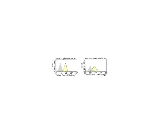 62-8503-43 MABC959 | Anti-CD1d Antibody, clone WTH-1 MABC959