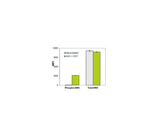 62-8538-59 MILLIPLEX MAP 2-Plex Total/Phosph ERK MAG Kit 48-619MAG