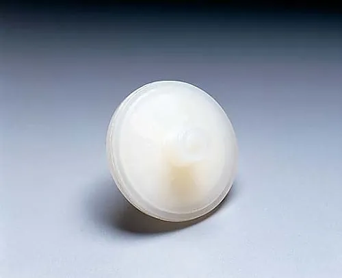 61-0205-12 Millex-Ls 5.0μm Phobic PTFE 25mm Non-Ster 50/Pk 50/Pk SLLS025NS