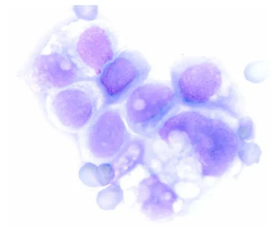 61-0310-66 Hemacolor(R) Solution 3 Blue Solution Hemacolor(R) 111957 2.5L 1.11957.2500