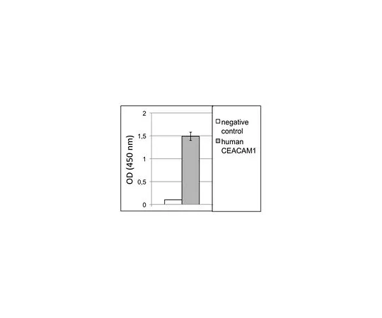 62-8526-42 Anti-CEACAM1/CD66a, clone B3-17 MABT397