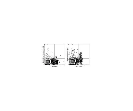 62-8511-08 Anti-KLRG1 (mo***), APC, clone 2F1 MABF465