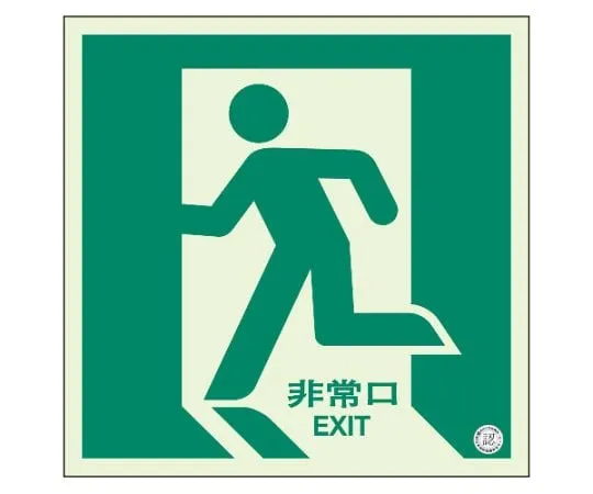 62-6089-74 Floor Guide Sign Emergency Exit (facing left) luminous 829-10A