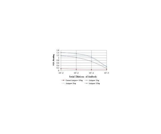 62-8523-69 Anti-MAP3K2, clone 4B4 Antibody MABS816