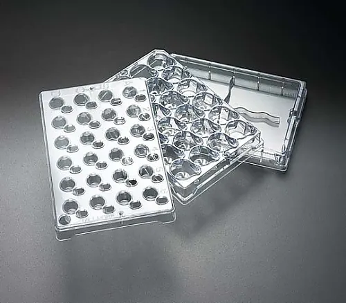 61-0206-76 Millicell-24 Cell Culture Plate, PCF 0.4μm 5/Pk 5PK PSHT010R5