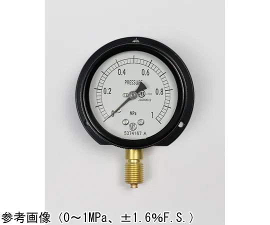 65-4293-39 Sealed Pressure Gauge (60Φ) Vertical B Frame 1 MPa BA10-221