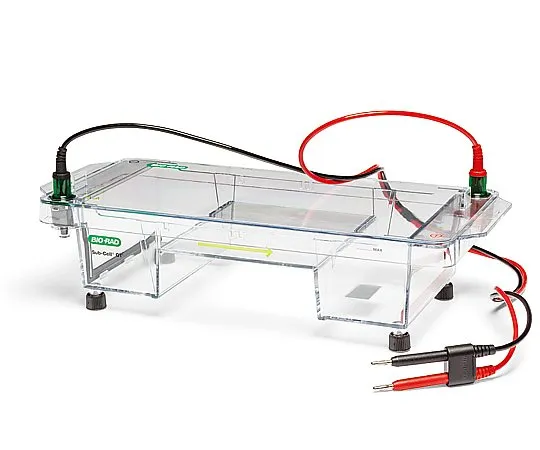 2-8363-01　［Discontinued］Electrophoresis System　1704401JA