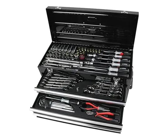 62-2893-58 SK 11 Maintenance Tool Set Black Black SST-16133BK